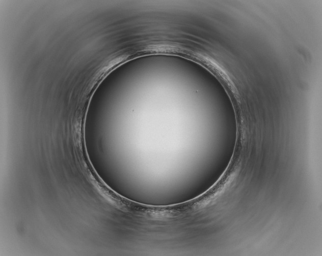 X0000112901041200909041718