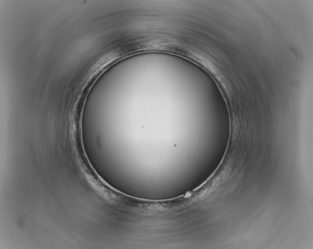 X0000112901042200909041718