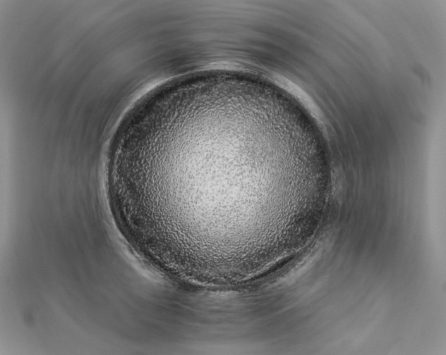 X0000112901043200909041718