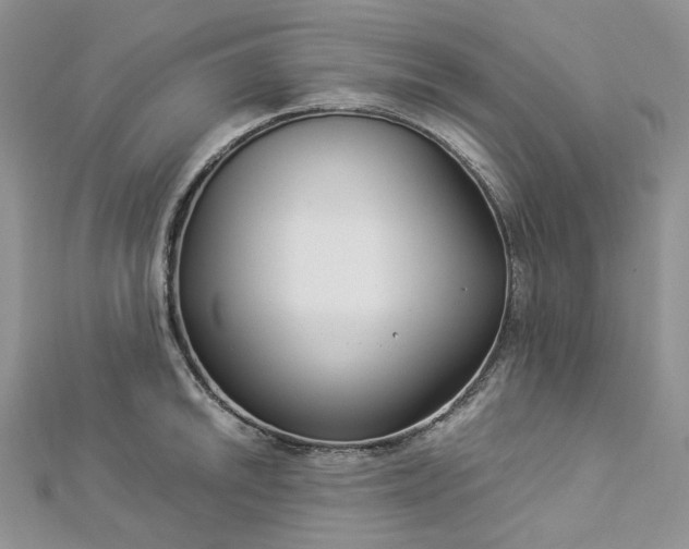 X0000112901046200909041718