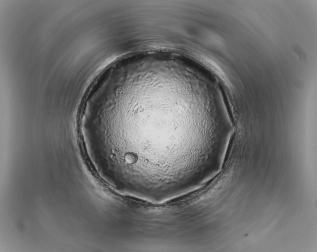 X0000112901047200909041718