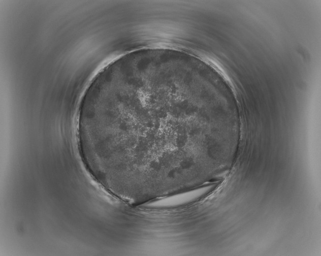 X0000112901048200909041718