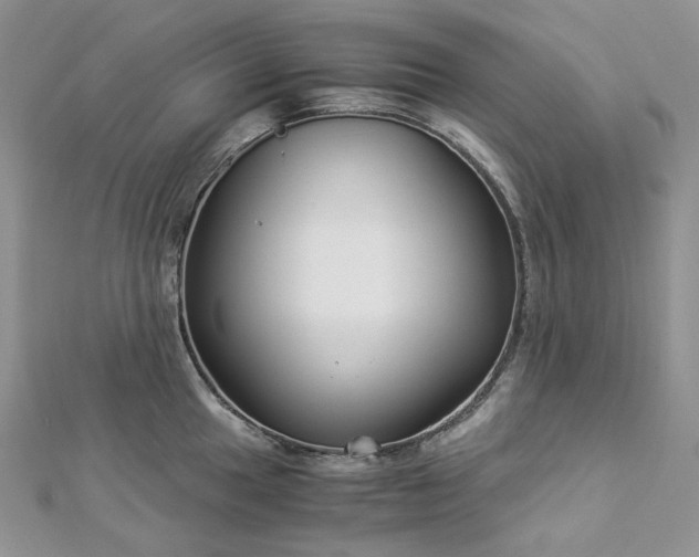 X0000112901049200909041718