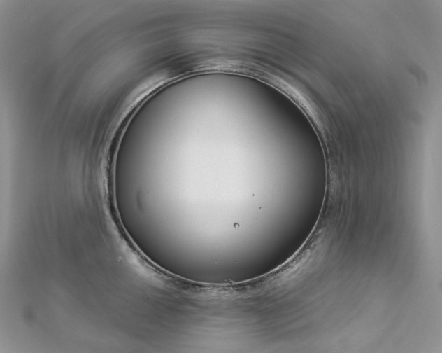 X0000112901050200909041718