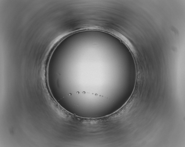 X0000112901051200909041718