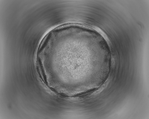 X0000112901052200909041718