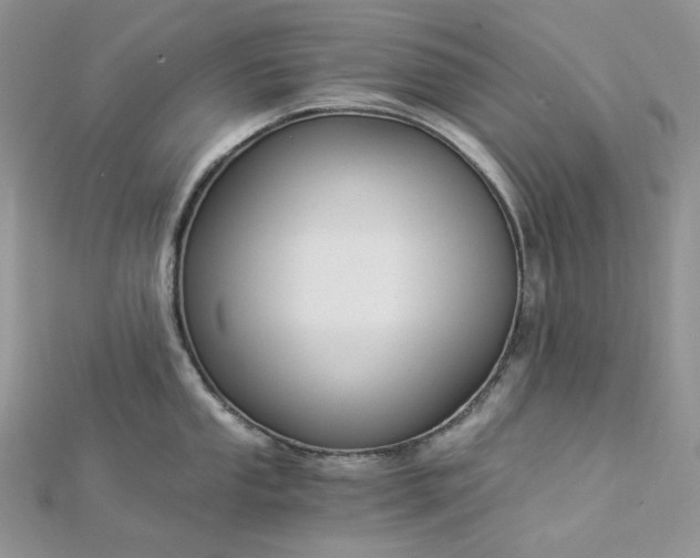 X0000112901053200909041718