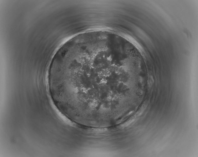 X0000112901055200909041718