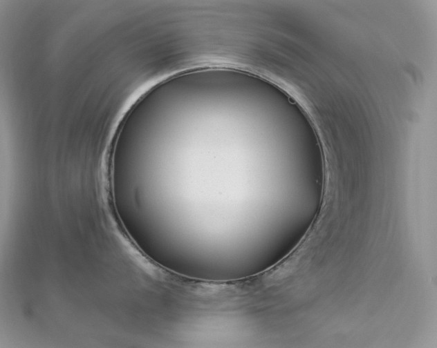 X0000112901056200909041718