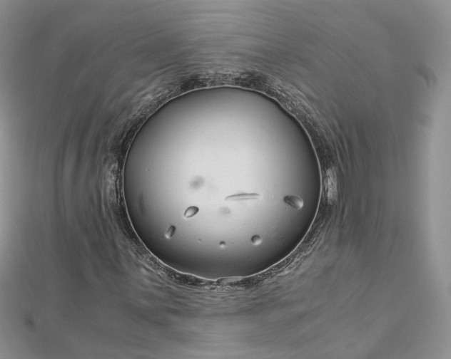 X0000112901059200909041718