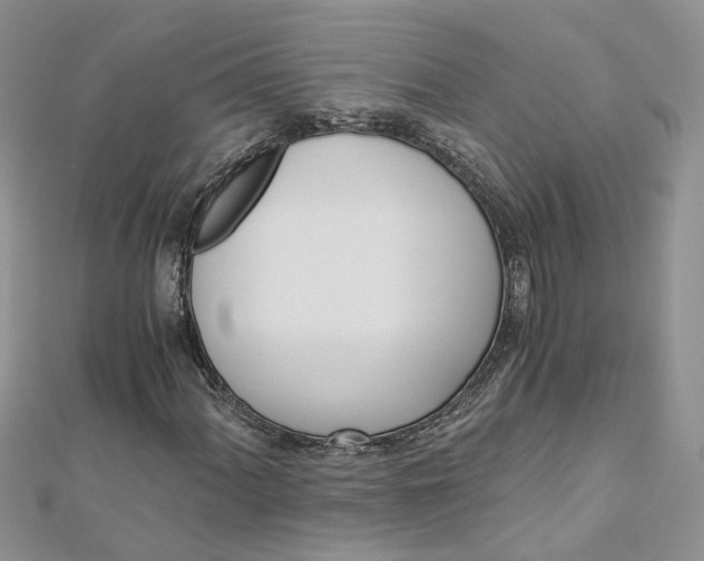 X0000112901060200909041718