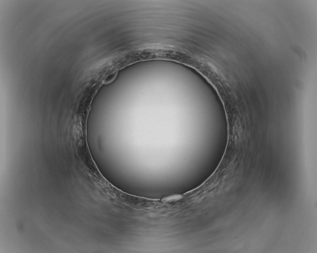 X0000112901062200909041718