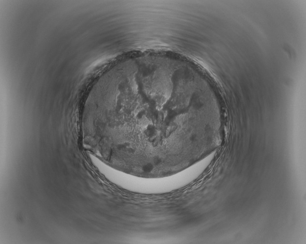 X0000112901063200909041718