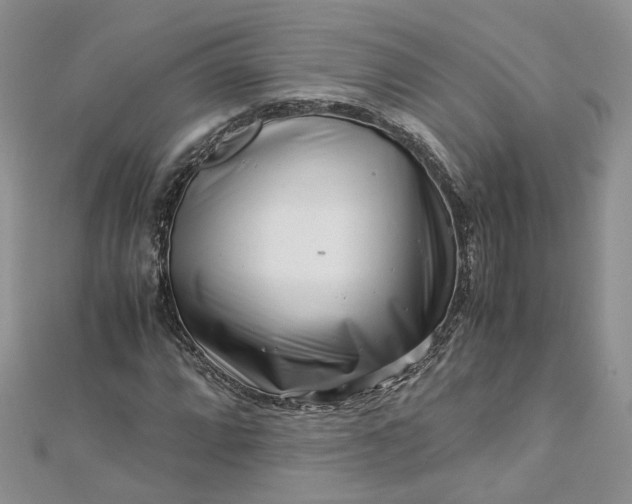 X0000112901064200909041718