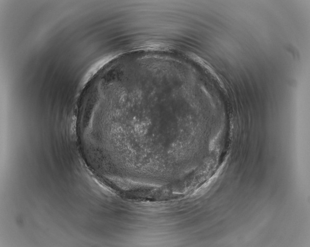 X0000112901066200909041718