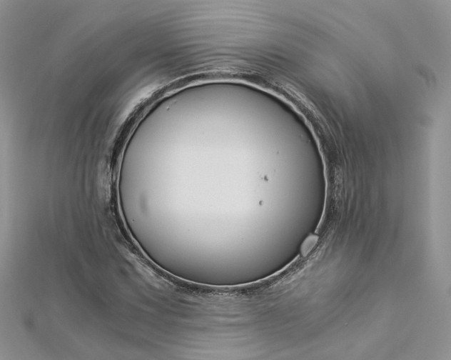 X0000112901067200909041718