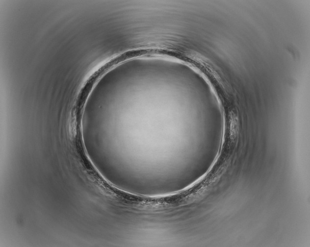 X0000112901069200909041717