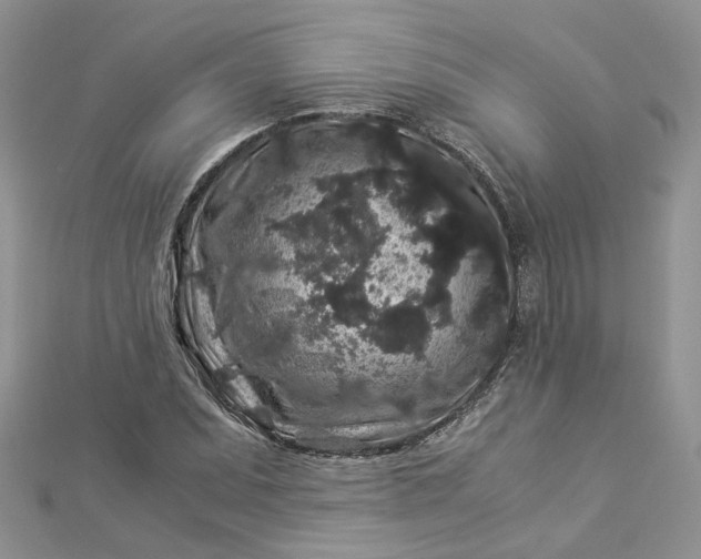 X0000112901071200909041717