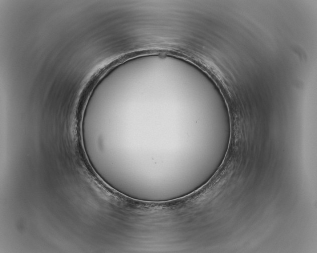 X0000112901072200909041717