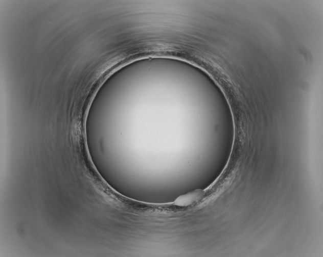 X0000112901073200909041717