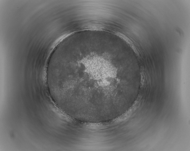 X0000112901074200909041717