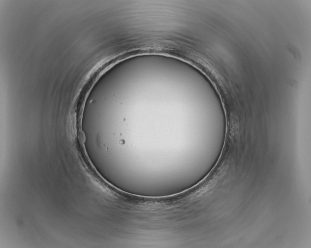 X0000112901075200909041717