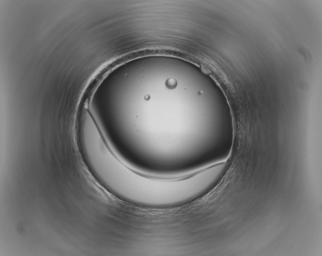 X0000112901076200909041717