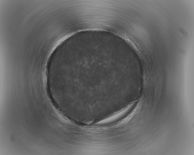 X0000112901077200909041717