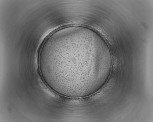 X0000112901078200909041717