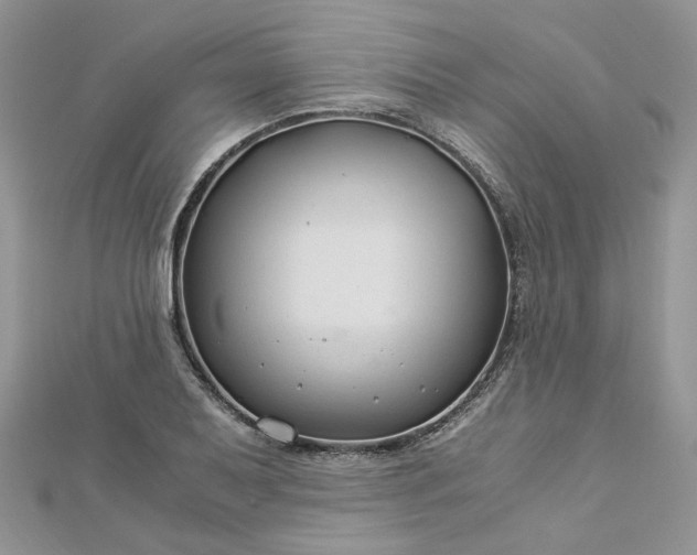 X0000112901079200909041717