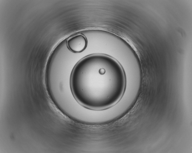 X0000112901080200909041717