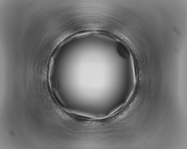 X0000112901081200909041717