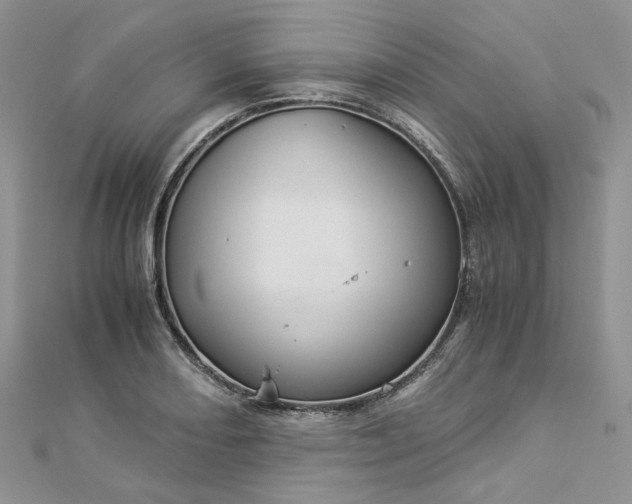 X0000112901082200909041717