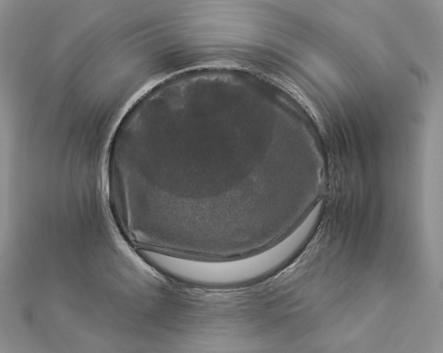 X0000112901084200909041717