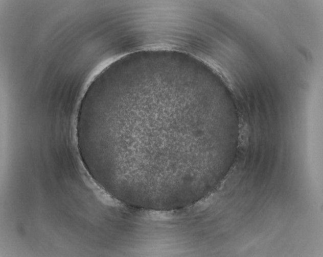 X0000112901086200909041717