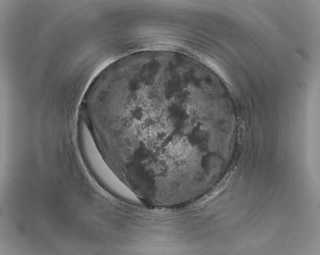 X0000112901087200909041717