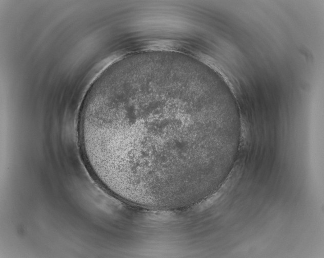 X0000112901090200909041717