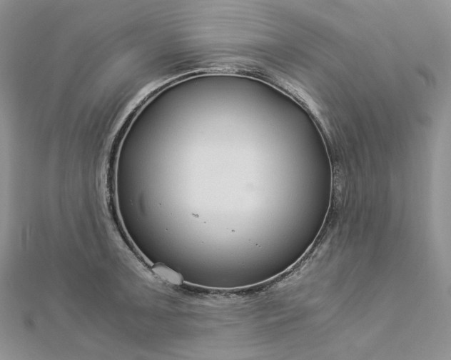 X0000112901091200909041717