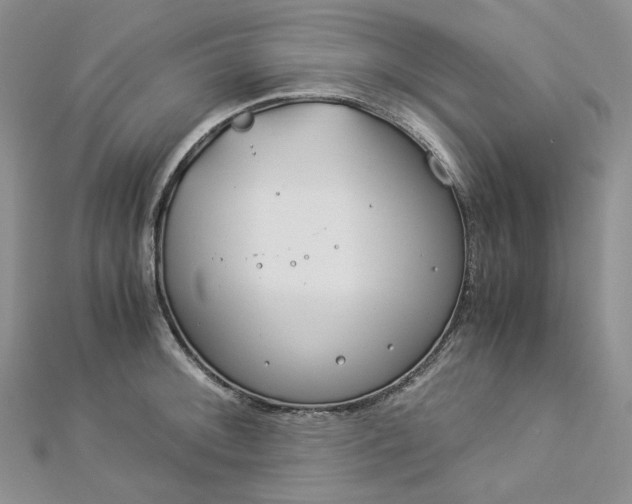 X0000112901092200909041717