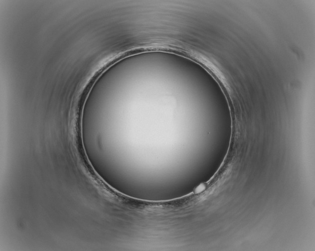 X0000112901093200909041717