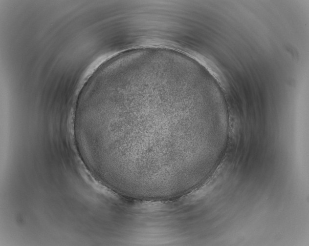 X0000112901094200909041717