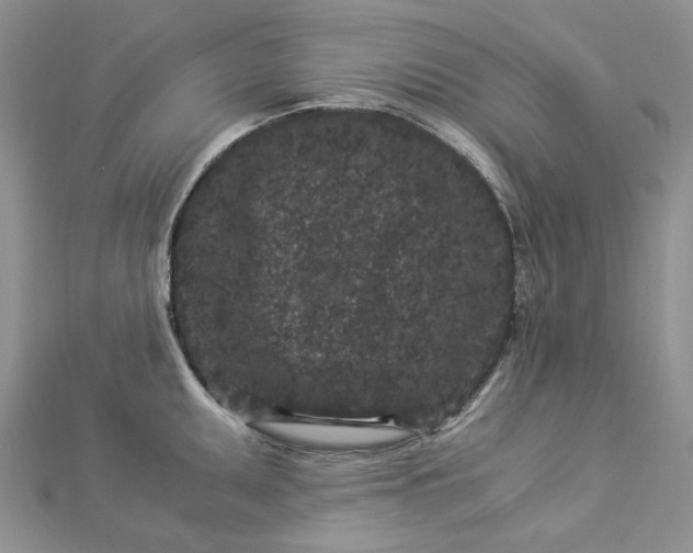 X0000112901095200909041717