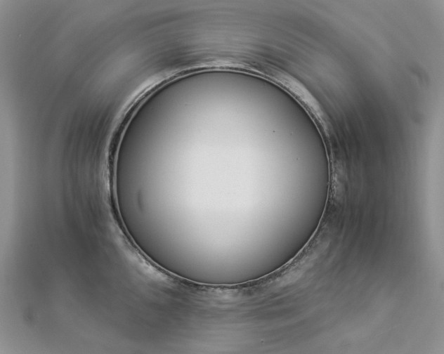 X0000112901096200909041717