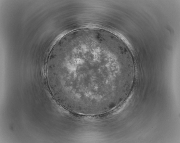 X0000112901097200909041717