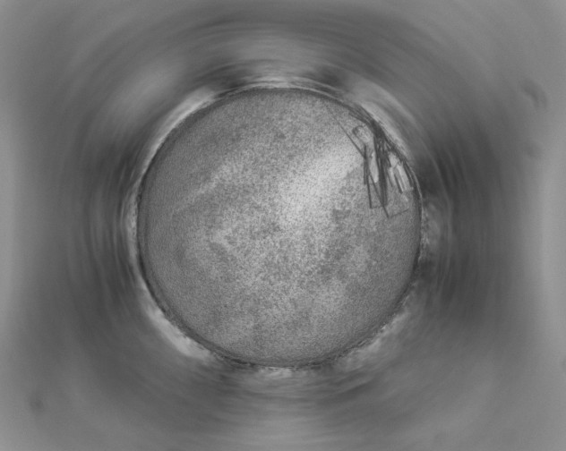 X0000112901098200909041717