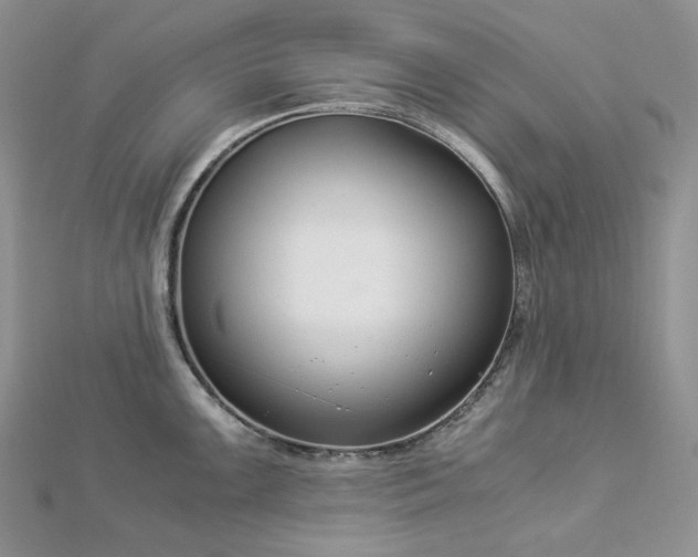 X0000112901099200909041717