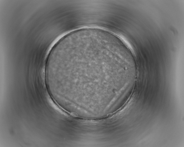 X0000112901100200909041717