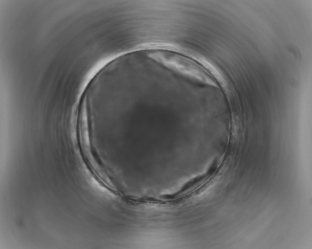 X0000112901102200909041717