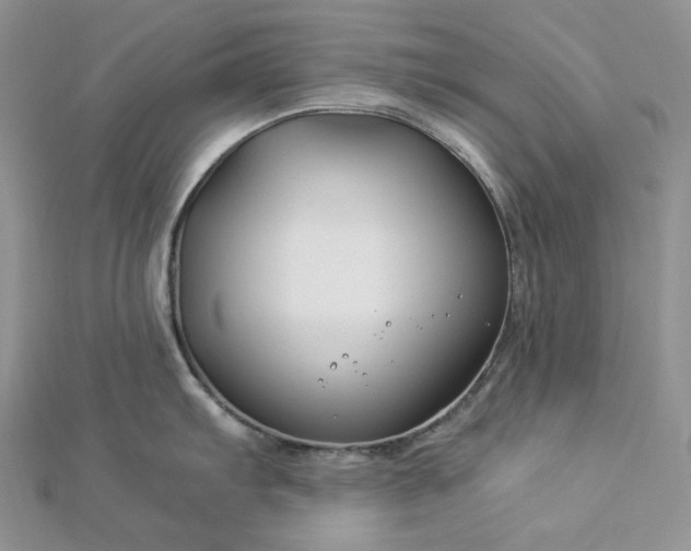 X0000112901103200909041717