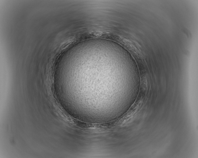 X0000112901105200909041716